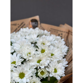 BEYAZ PAPATYA BUKETİ